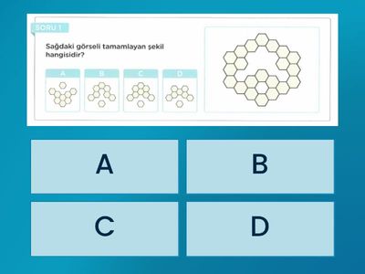 BİLSEM 3. DENEME SINAVI