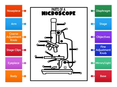 Parts of a Microscope