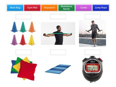 Physical Education Equipment Match