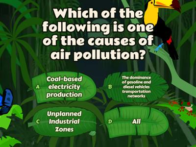 Green Actions Team - Air Pollution Test