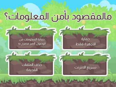 أمن المعلومات 