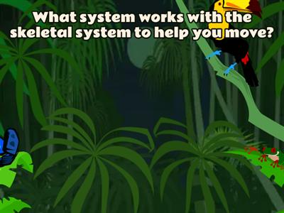 Body Systems - Flying Fruit