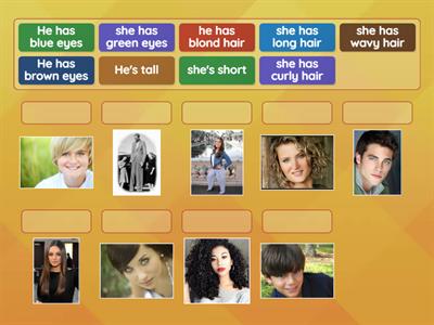 physical description