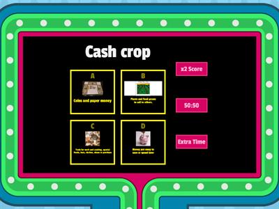 Life in Colonial Virginia 