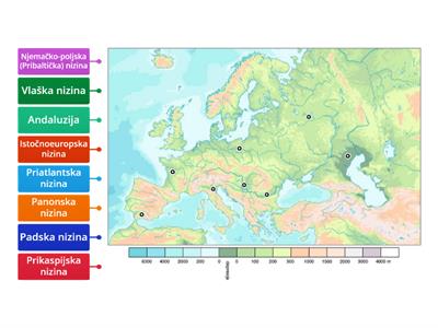 Nizine Europe