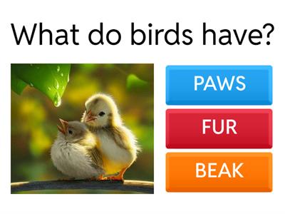 UNIT 3 and 4 vocabulary