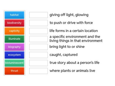 End of Module Vocabulary