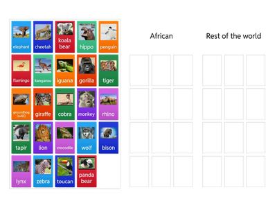 AJ 3 African X other animals 