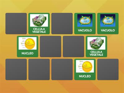 La cellula vegetale (secondaria di primo grado)