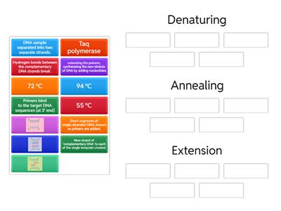 Steps in PCR