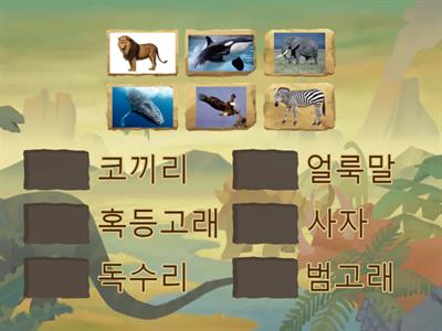 AR동물 사파리 퀴즈(초등 1~3학년)