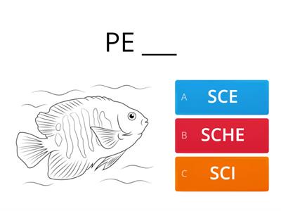 SCE SCI