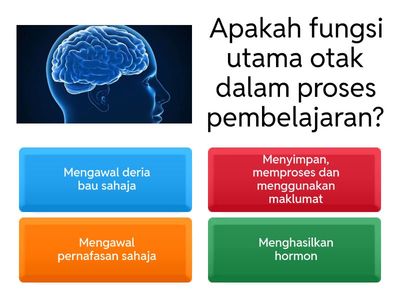 Kuiz Kefahaman Topik: Otak dan Pembelajaran