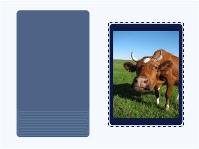 Билингвы. 2 год. Урок 9