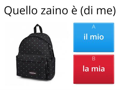 Pronomi possessivi