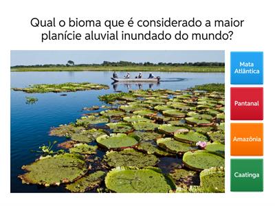 Quiz dos biomas
