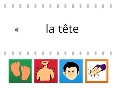 Tête, épaules, genoux et pieds - find the match