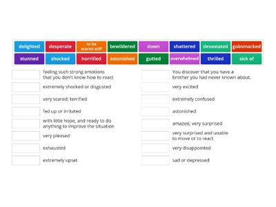 Upper-intermediate Vocabulary 5A Feelings