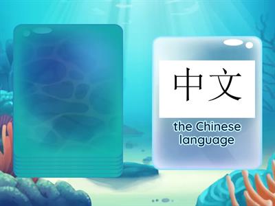 What do you know about...? cards