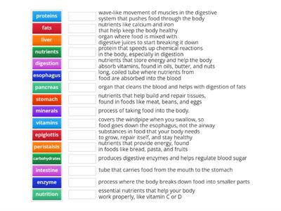 Nutrition: Glossary