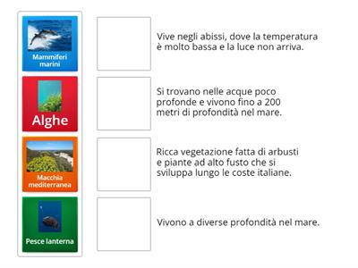 Fauna e flora marina