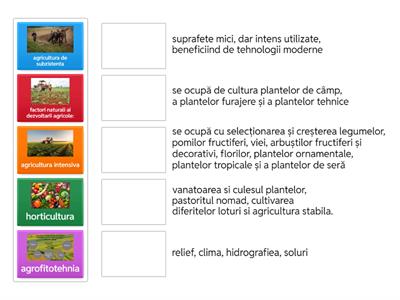 Agricultura - tipuri (clasa a 10-a)