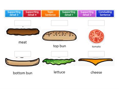  Hamburger Paragraph Writing Strategy 2