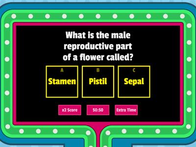 Parts of a flower and their functions