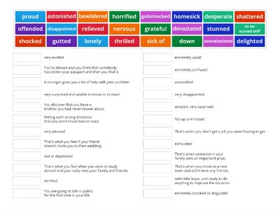 NEF Upper-intermediate Vocabulary 5A Feelings