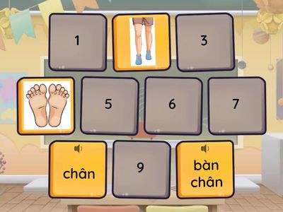 Bộ phận các chi dưới - lower limbs