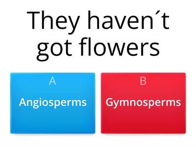 Angiosperms or Gymnosperms