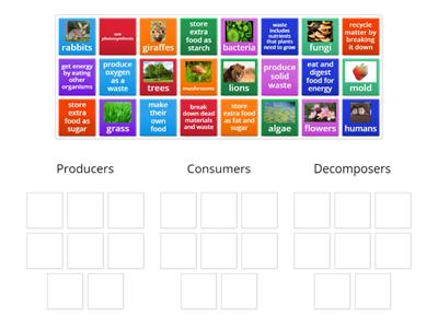 Ecosystem Organism Sort