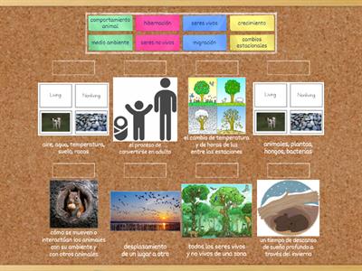 Span_G3 C8L1: Migration and Hibernation (3.12A)