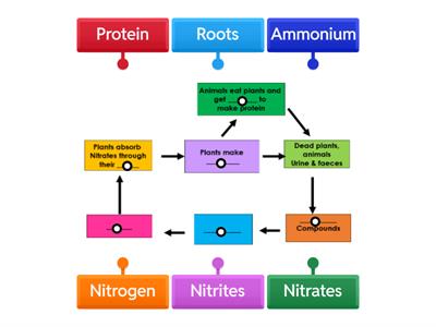 Nat 5 KA5: Nitrogen Cycle Labelled Diagram