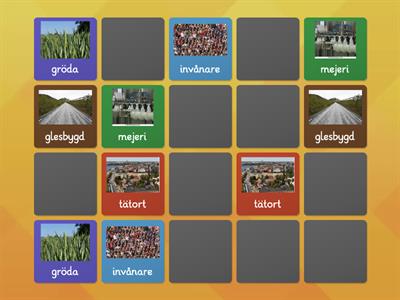 Matchande par (memory) Geografi-ord åk 4 Sverige