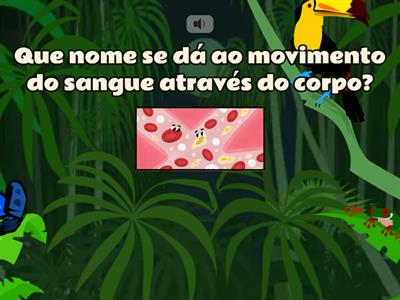 Sistemas do corpo humano