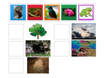 Clasificación de animales por hábitats
