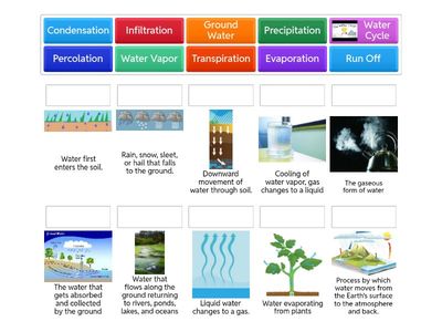 Water Cycle Match Up (6th Grade Science)