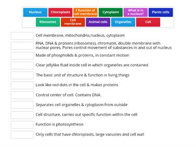 The cell LC biology