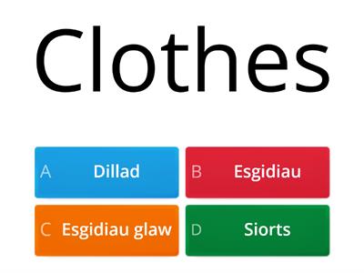 QEHS - Welsh items of clothing