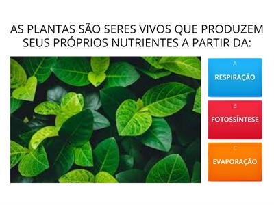 QUIZ - CADEIA ALIMENTAR