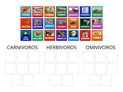 CLASIFICACIÓN CARNÍVOROS, HERBÍVOROS Y OMNÍVOROS