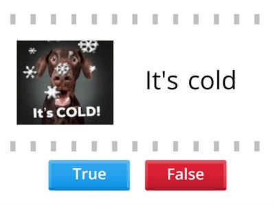 Beginner weather true false 