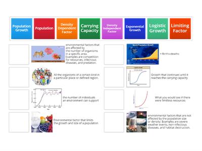  Population Dynamics Practice