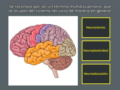 Explorando y aprendiendo en el mundo de la neurociencia. 