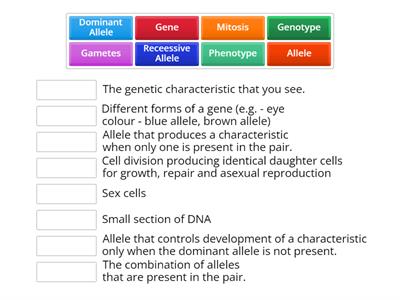  Inheritance key words match up 2