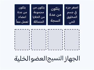 مستويات التنظيم في المخلوقات الحية سادس 