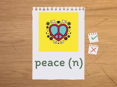 GG3 U1.5 Teenage fashions flashcards