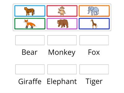 What is that animal?