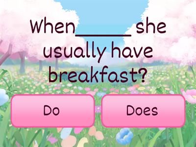 Do/Does with question words